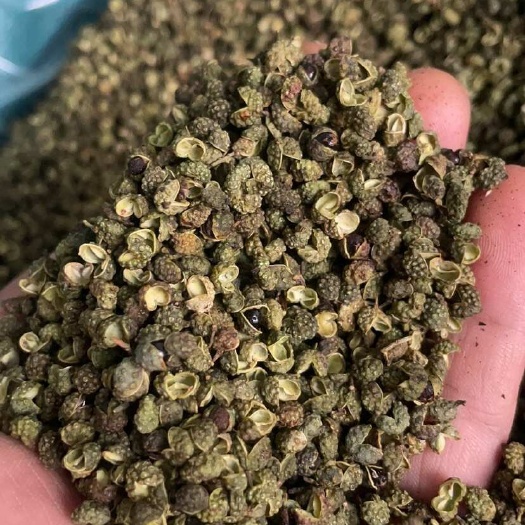 郑州青麻椒