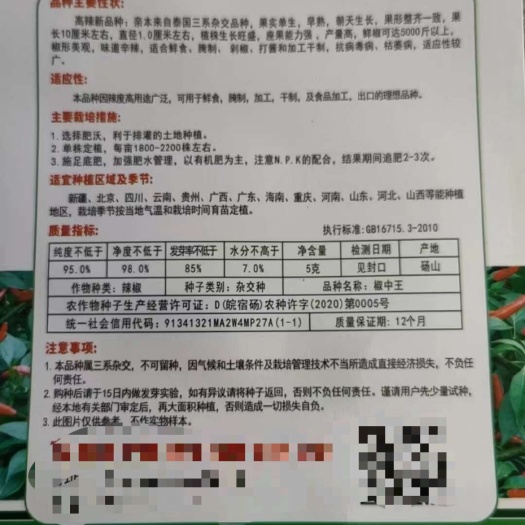 朝天椒种子