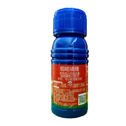 长沙4%烟嘧磺隆玉米苗后专用除草剂玉米除草剂农药灭草剂