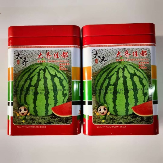 沭阳县大齐佳都早熟美都西瓜种子 果实发育期30天左右