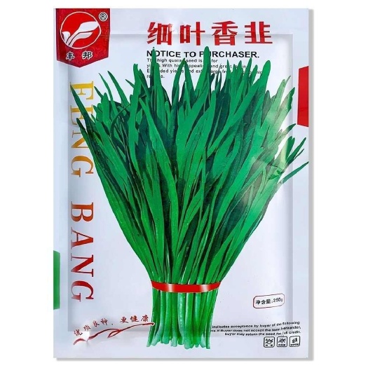 南京香韭菜种籽小细叶老品种香味浓郁生长四季播种基地耐热寒蔬菜种子