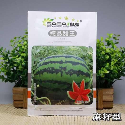 青县世嘉【纯品甜王】西瓜种子大果短椭圆形 大红瓤甜脆爽口 皮薄抗