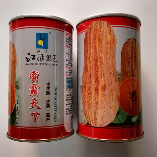 沭阳县蜜本南瓜种子蜜霸天下中早熟蜜本南瓜种子