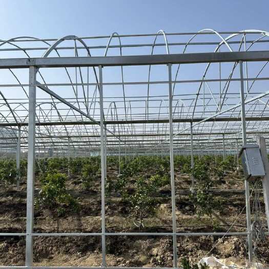 无锡根据客户不同厂家定制专用蔬菜大棚 葡萄大棚管 内外遮阳连体棚