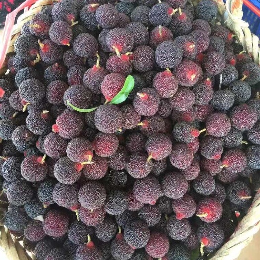 汕头乌酥杨梅