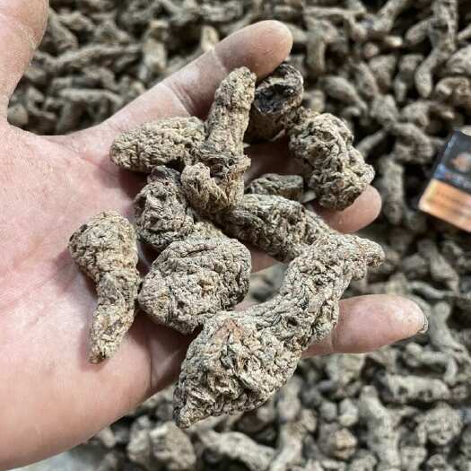武陟县炉土地地黄