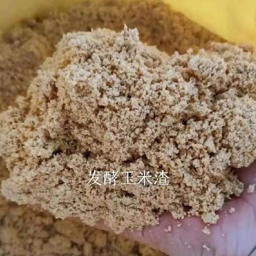全州县发酵玉米渣，猪牛都爱吃