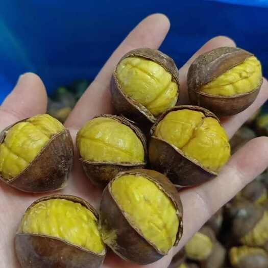 迁西3113冰栗子