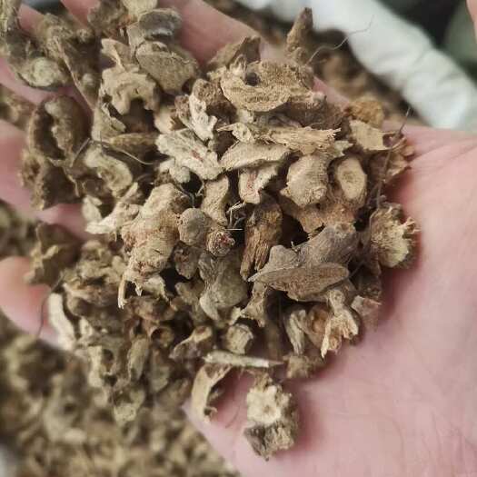 玉林【淫羊藿根/仙灵脾】仙灵脾淫羊藿根新货无硫仙灵脾根淫羊藿