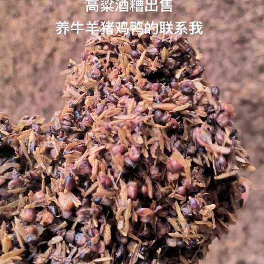 绵阳纯高粱酒糟