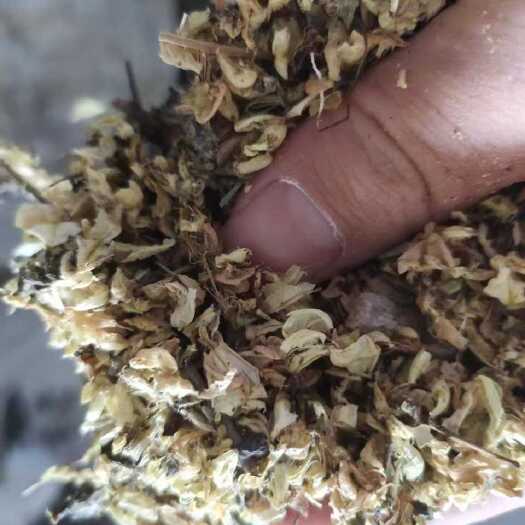 光山县槐花干货   大别山道地药材批发零售