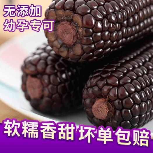 定襄县真空包装黑甜粘糯玉米软糯香甜即食玉米可以超市批发一件电商代发