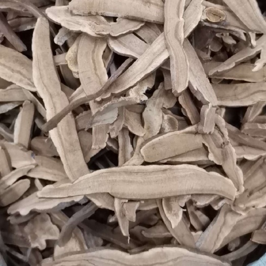 亳州灵芝片 【假一赔十】