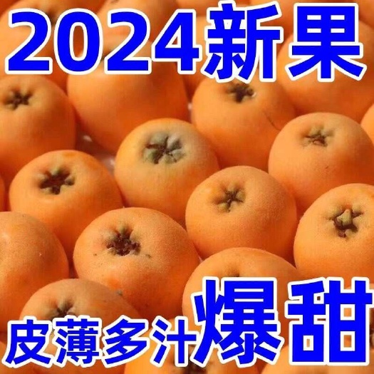 南宁现摘米易枇杷新鲜大果纯甜多汁2斤3斤装包邮