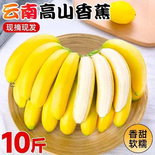 云南香蕉新鲜水果应季特产高山香蕉米蕉批发包邮