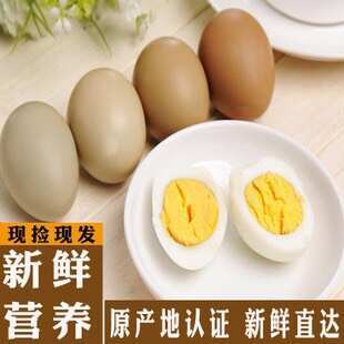 商河县山鸡蛋  七彩山鸡蛋  量大优惠