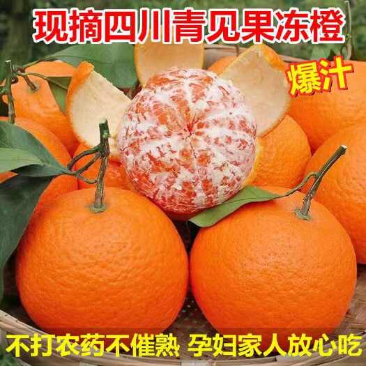 四川青见柑橘果冻橙承接电商一件代发全国包邮
