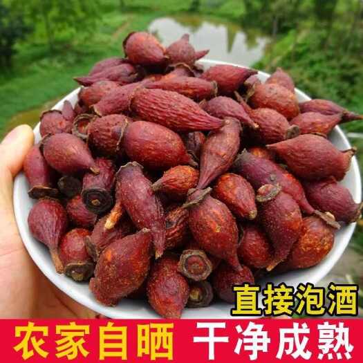 蒙城县金樱子中药材干货泡酒