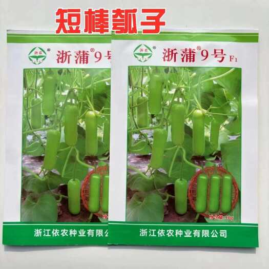 浙蒲9号短瓠种子短棒葫芦甜瓠子条瓠种子清香四季蔬菜种籽春秋播