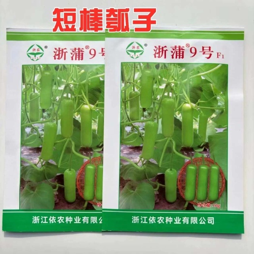 沭阳县浙蒲9号短瓠种子短棒葫芦甜瓠子条瓠种子清香四季蔬菜种籽春秋播