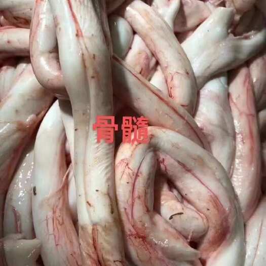 汕头新鲜牛骨髓