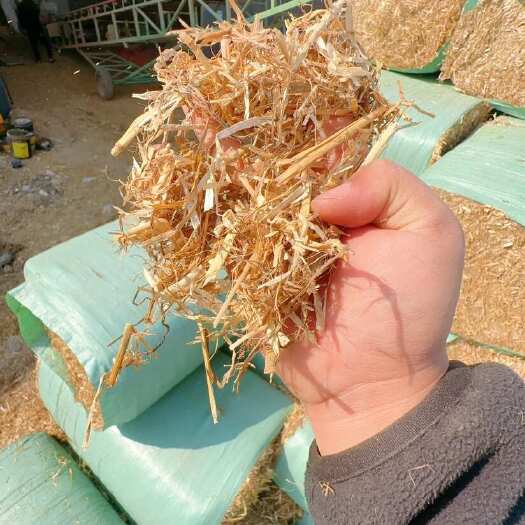 固镇县安徽￼￼优质揉丝小麦草