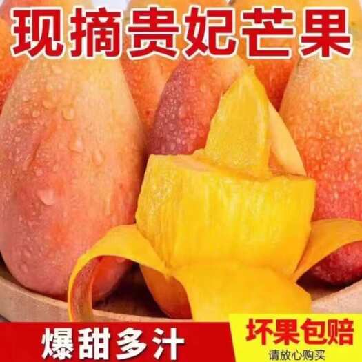 田林县贵妃芒 只找一件代发 直接打电话给我