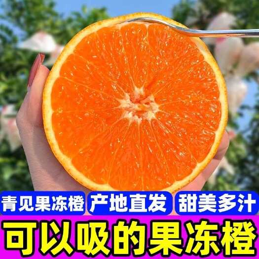 青见果冻橙5斤新鲜橙子当季水果柑橘蜜桔非爱媛38号红美人包邮