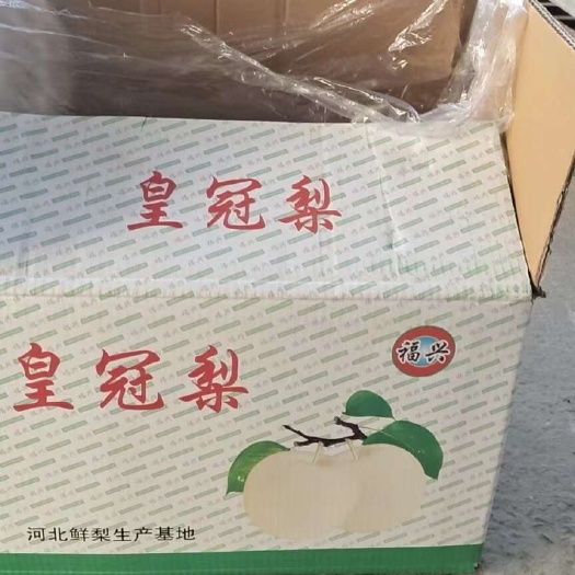 天津皇冠梨