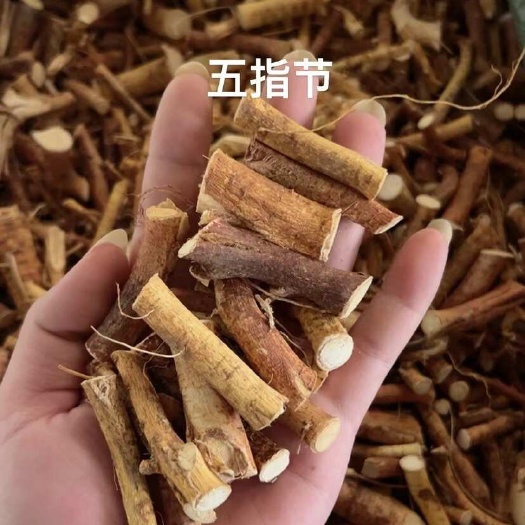 阳西县五指毛桃加工厂直销无硫五指小节