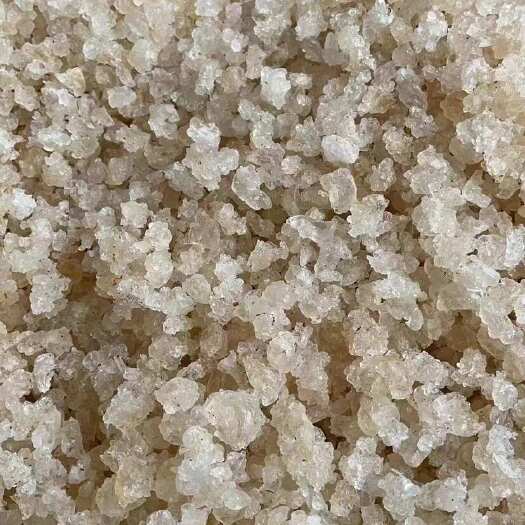 玉林直播优选3a雪燕