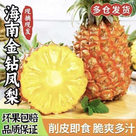 海口金钻凤梨新鲜10斤手撕菠萝整箱新鲜水果风梨当季香水菠萝整箱