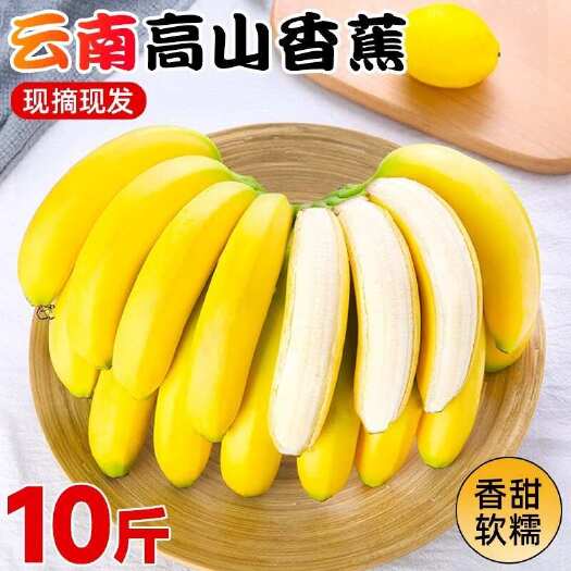 金平县云南高原香蕉现摘现发