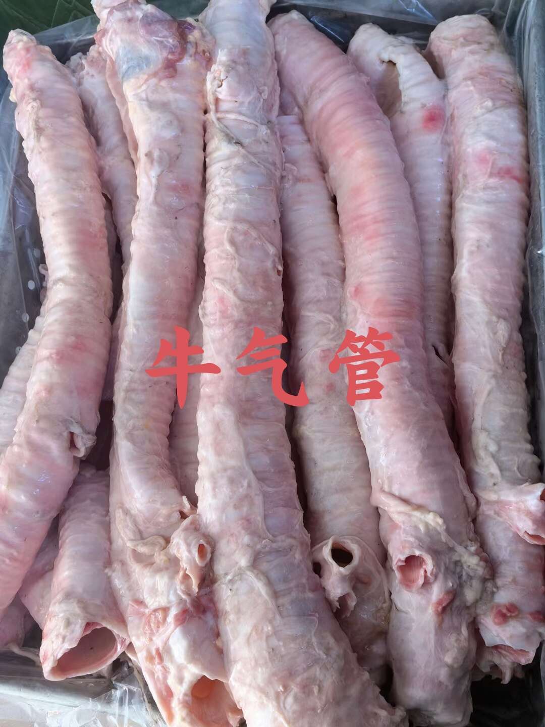 【牛气管】当地草原黄牛的肺管，袋装不是标准件，全国发货