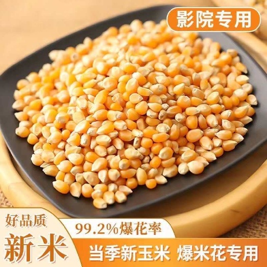 临沂【爆米花专用干黄玉米】家用商用都合适【全场包邮】