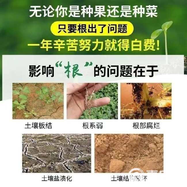 花肥矿源黄腐酸钾生根壮苗剂黄腐酸钾腐植酸微生物菌剂肥水溶肥料