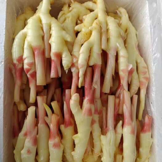 徐闻县生姜
