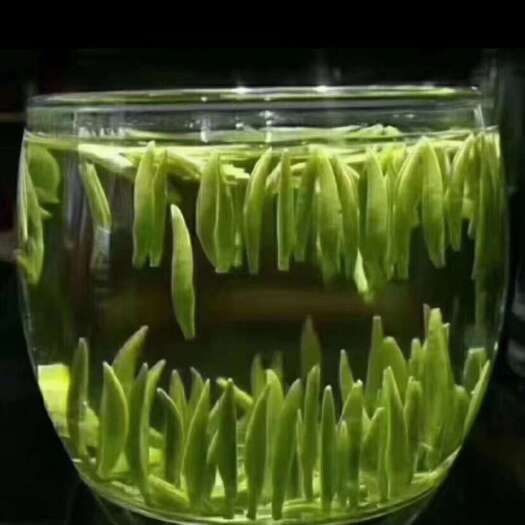 龙顶茶