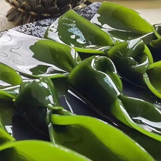 新鲜海带扣，色泽脆嫩，今年新菜