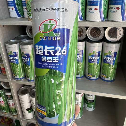 超长26金豆王种子中早熟荚多挂荚力强产量高纤维少耐老化基地种