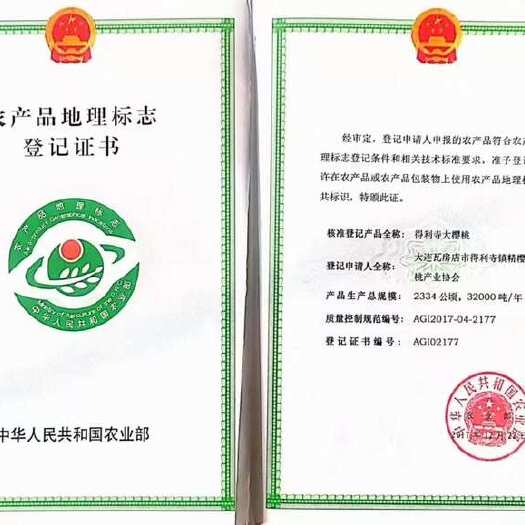 瓦房店市暖棚美早大樱桃