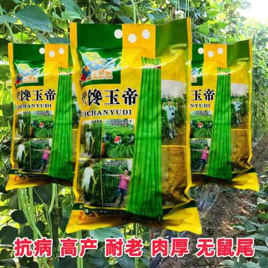 宿迁世纪星豆角种子翠馋玉帝长豇豆种子春秋播种长豆角种子