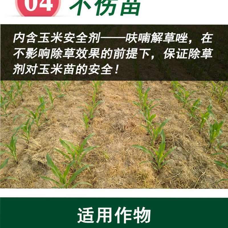 36%高含量150毫升硝烟莠去津玉米苗后除草剂