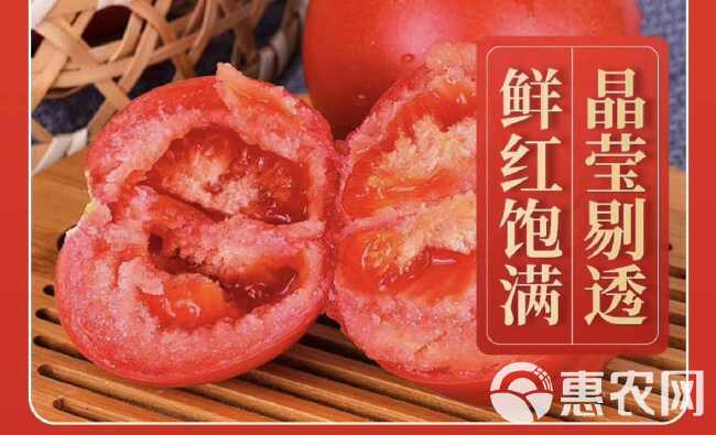 [包邮]普罗旺斯西红柿新鲜生吃沙瓤大番茄老品种超甜