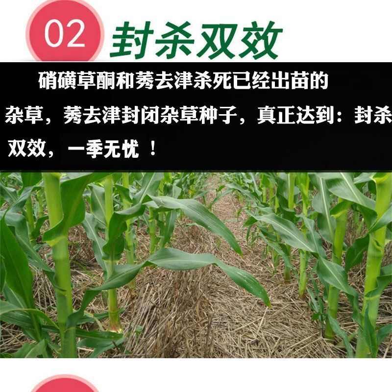 36%高含量150毫升硝烟莠去津玉米苗后除草剂