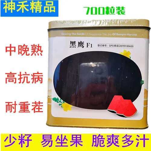 沭阳县黑霸王西瓜种子黑皮高产薄皮红心特大西瓜种籽水果种子四季