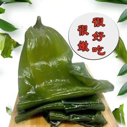 大连包饭海带，新鲜脆嫩，大连新鲜盐渍整颗海带鲜嫩包饭厚海带非裙带
