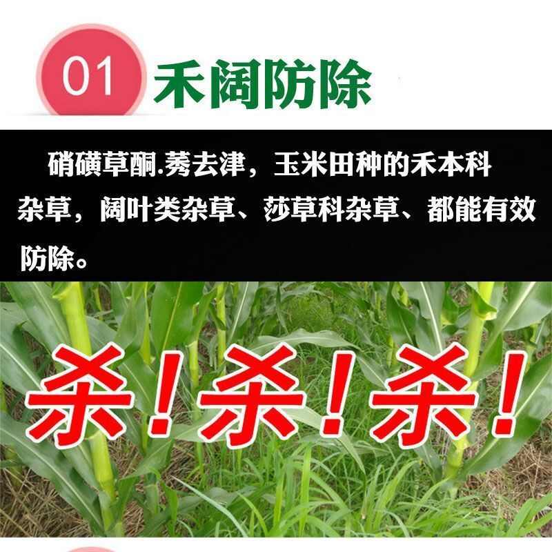 36%高含量150毫升硝烟莠去津玉米苗后除草剂