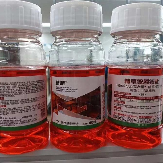 宁阳县精草铵膦铵盐草胺磷荒地小飞蓬牛筋草杂草除草剂