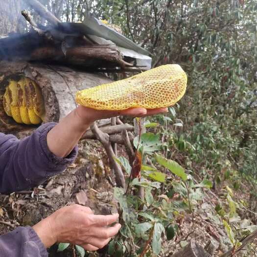 鹤庆县云南高山野生蜂蜜（天然）